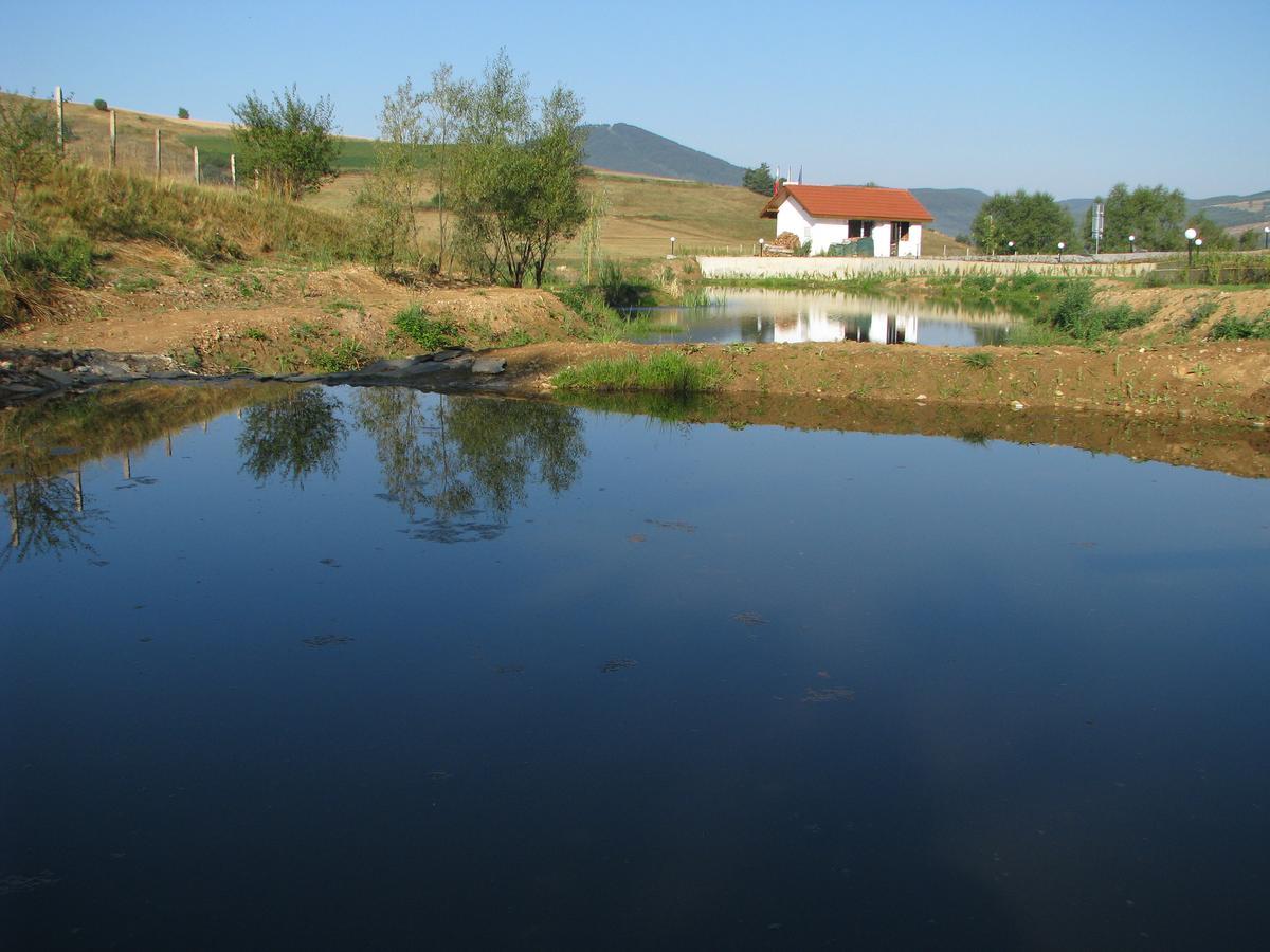 Park Hotel Eagle Stone Koprivshtitsa Esterno foto
